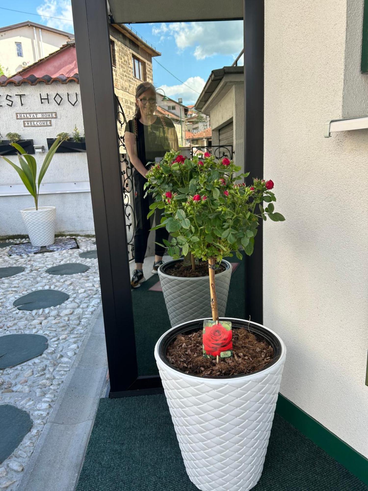 Halvat Guesthouse Szarajevó Kültér fotó